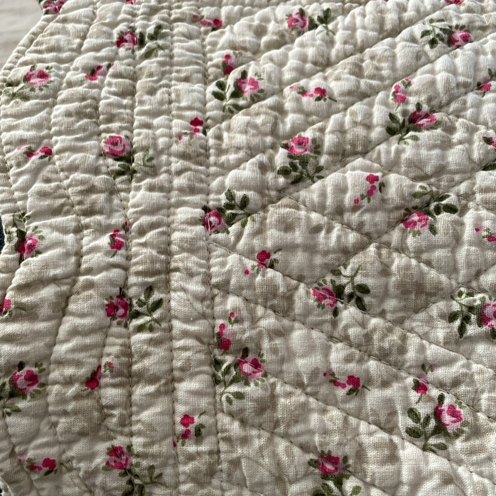 GREAT FINDS GREAT FRIENDS 8 COTTON QUILTED 20” x 14” REVERSIBLE PLACEMATS FLORAL - Picture 7 of 7
